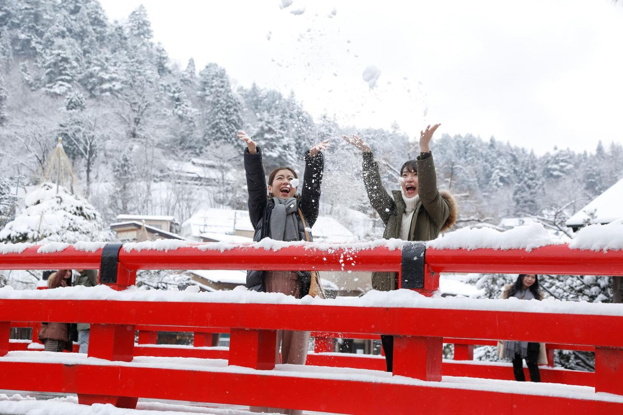 Hida Takayama Onsen Takayama Green Hotel Keio Group Hotels Экстерьер фото Snow Festival